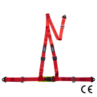 Harnais FIA RRS EVO 4 Rouge
